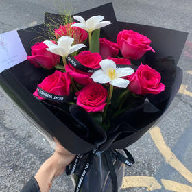 精灵之歌（弗洛伊德+郁金香）