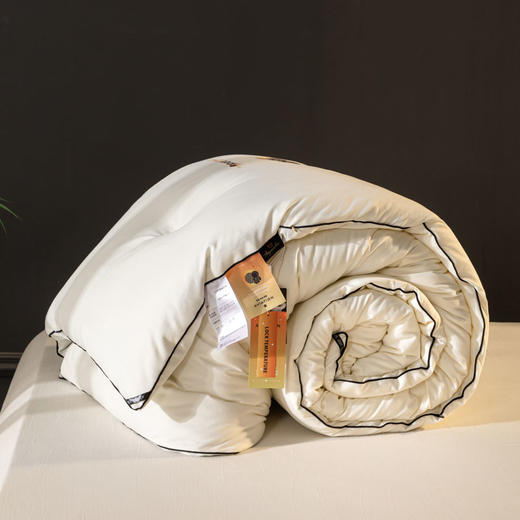 自然醒A类-抗菌航天黑金被子冬季加厚保暖棉被春秋冬被芯儿童单人太空被褥LFS 商品图10