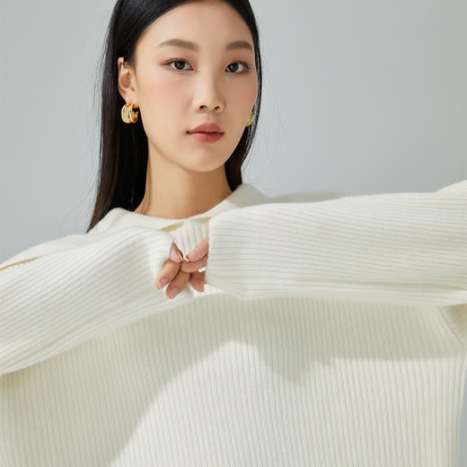 东黎 • 小山羊绒女士秋冬马尔代夫阳光翻领套头衫 3413 商品图1