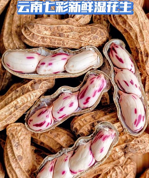 （沈佳农）七彩花生 商品图4