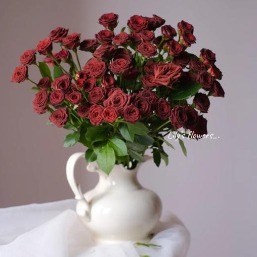 多头巧克力玫瑰丨A级花材 10支 商品图4