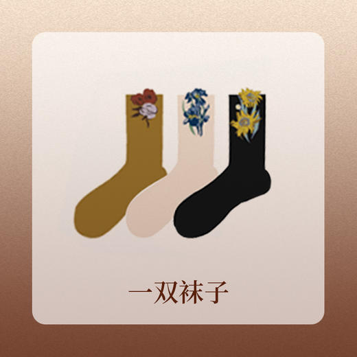 【双11开门红】七等奖 梵高袜1双 颜色随机 商品图0