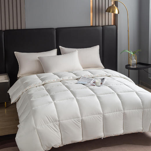 自然醒A类-康纶航天高效发热暖绒被子棉被冬被加厚保暖被芯冬季单人春秋被褥LFS 商品图5