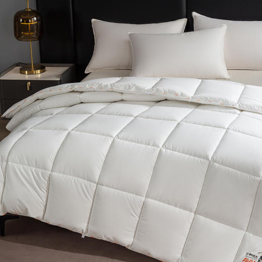 自然醒A类-康纶航天高效发热暖绒被子棉被冬被加厚保暖被芯冬季单人春秋被褥LFS 商品图1