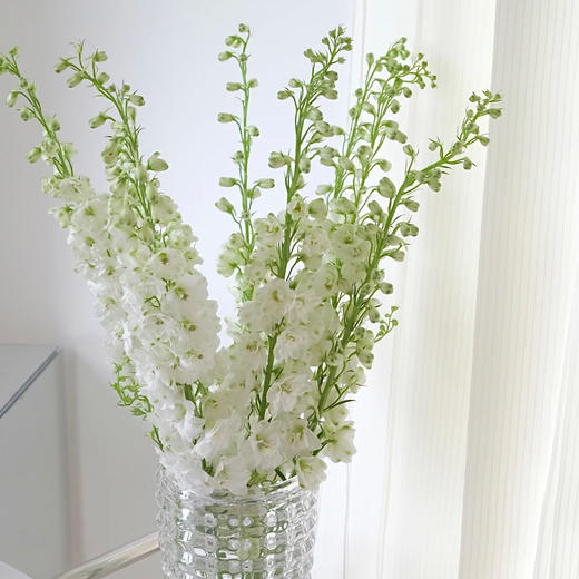 A级大飞燕丨白色丨超长花材单独发货 商品图1