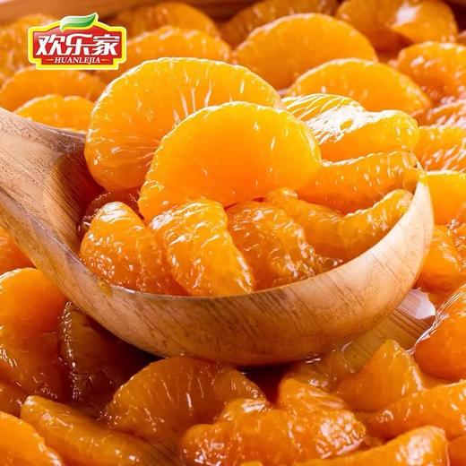 欢乐家桔子罐头900克 商品图1