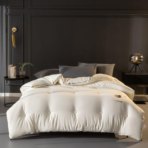 自然醒A类-抗菌航天黑金被子冬季加厚保暖棉被春秋冬被芯儿童单人太空被褥LFS 商品图1