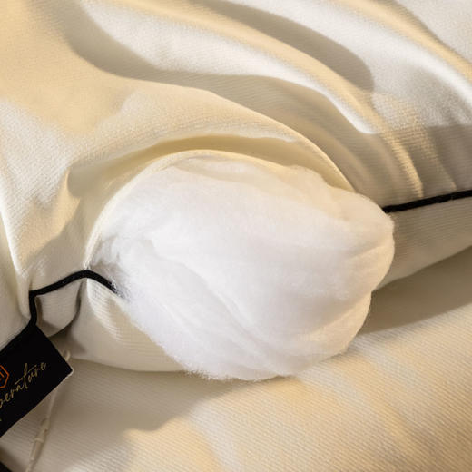 自然醒A类-抗菌航天黑金被子冬季加厚保暖棉被春秋冬被芯儿童单人太空被褥LFS 商品图8