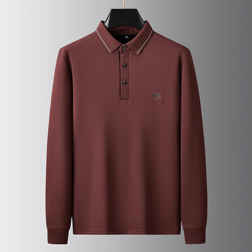 【新款DDA】大依优型大码加绒Polo衫翻领加肥加大休闲商务宽松弹力肥佬上衣打底男士 商品图2