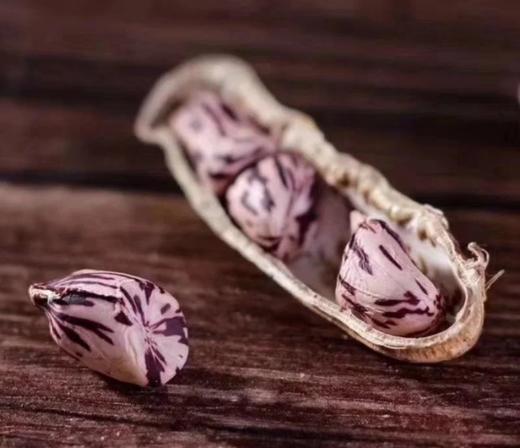 （沈佳农）七彩花生 商品图5