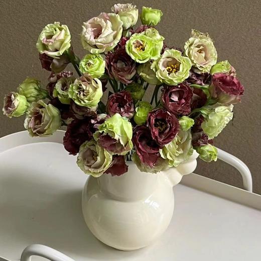 茶色丨洋桔梗 商品图1