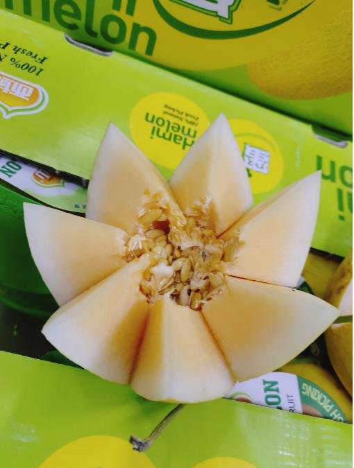 西域花果山哈密瓜一个 商品图2