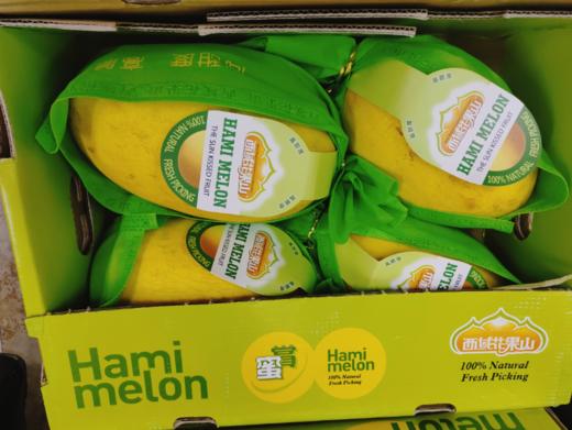 西域花果山哈密瓜一箱 商品图1