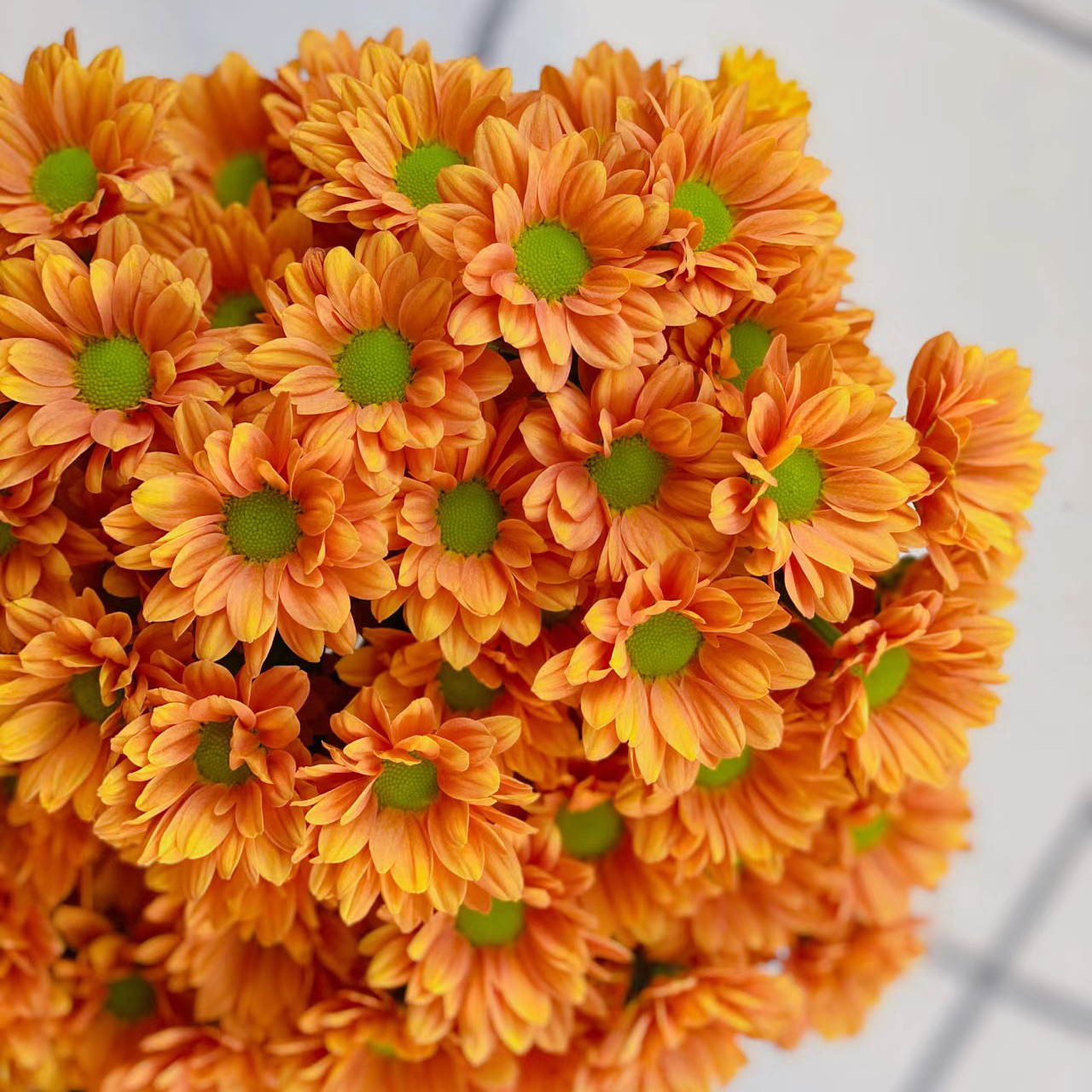 橙子汽水丨品牌小雏菊丨5支