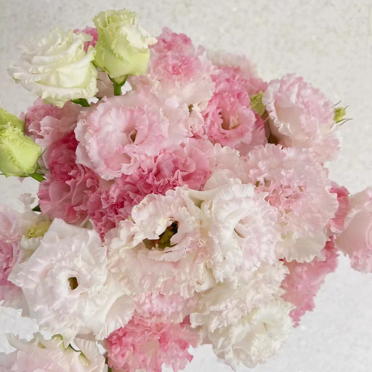 冰淇淋丨洋桔梗