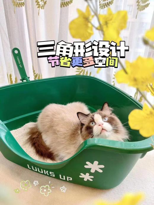 路可丝三角猫厕所 商品图0
