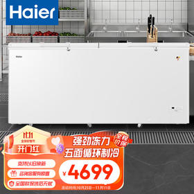 海尔（Haier）829升大容量家用商用卧式顶开门节能大冷冻力冷柜 冷藏冷冻转换柜 断电保护BC/BD-829HEZ