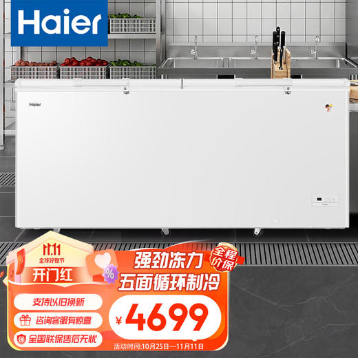 海尔（Haier）829升大容量家用商用卧式顶开门节能大冷冻力冷柜 冷藏冷冻转换柜 断电保护BC/BD-829HEZ 商品图0