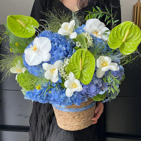 沿海之恋（蓝绣球抱抱桶）