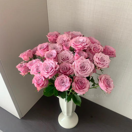 多头诺拉玫瑰丨A级花材 10支 商品图3