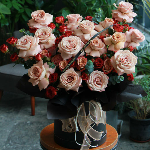 浪漫与自由（卡布奇诺抱抱桶） 商品图1