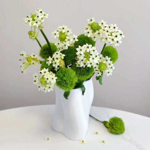 绿毛球丨配草 商品图3