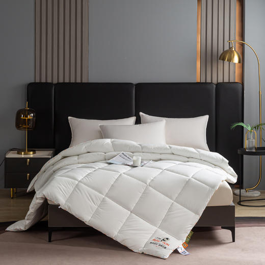 自然醒A类-康纶航天高效发热暖绒被子棉被冬被加厚保暖被芯冬季单人春秋被褥LFS 商品图3