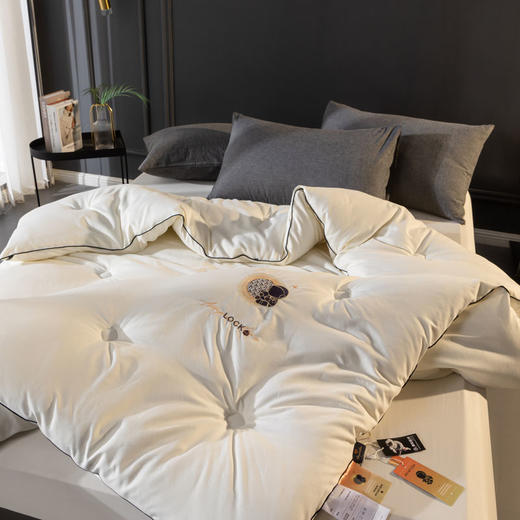 自然醒A类-抗菌航天黑金被子冬季加厚保暖棉被春秋冬被芯儿童单人太空被褥LFS 商品图2