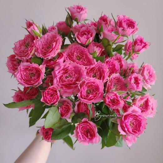 多头苏菲宝贝玫瑰丨A级花材 10支 商品图1