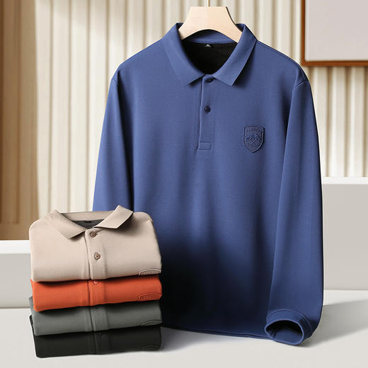 一口价【桑蚕丝】【新款DK】大依优型大码加绒长袖Polo衫桑蚕丝珠地翻领加肥加大肥佬休闲商务宽松透气上衣 商品图1