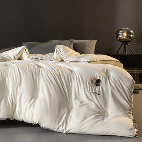 自然醒A类-抗菌航天黑金被子冬季加厚保暖棉被春秋冬被芯儿童单人太空被褥LFS