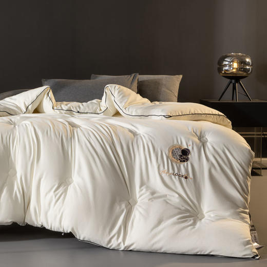 自然醒A类-抗菌航天黑金被子冬季加厚保暖棉被春秋冬被芯儿童单人太空被褥LFS 商品图0