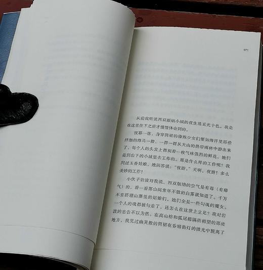 毛边本！！残雪新作《烟城》，残雪著，春风文艺出版社2023年11月一版一印，定价48，售价45元。 商品图8