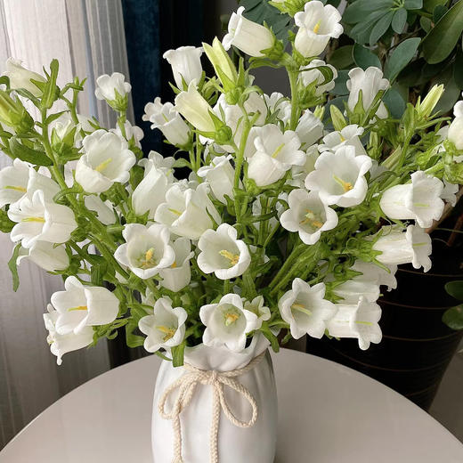 风铃花丨随机色不挑色【单拍不发】 商品图3