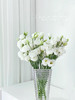 白色丨洋桔梗 商品缩略图4