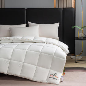 自然醒A类-康纶航天高效发热暖绒被子棉被冬被加厚保暖被芯冬季单人春秋被褥LFS