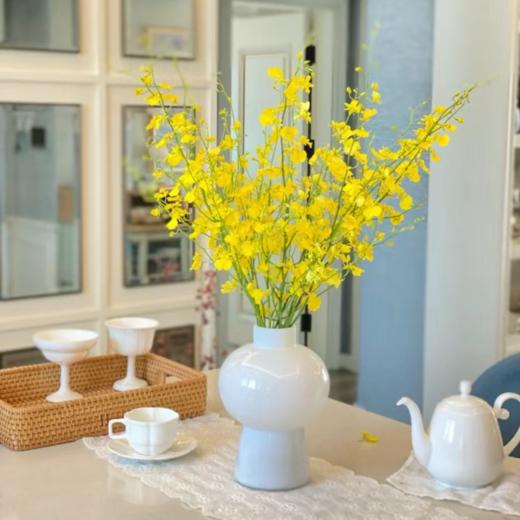 跳舞兰丨草花 商品图2