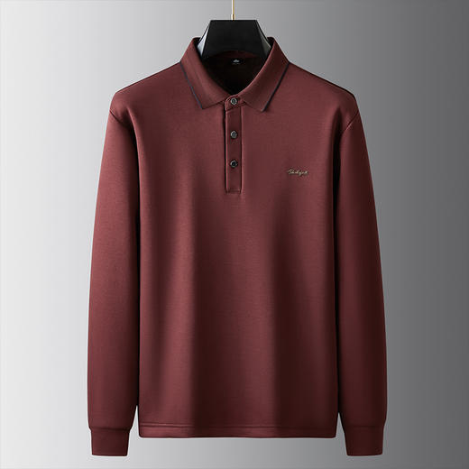 【新款DDA】大依优型大码加绒Polo衫翻领加肥加大休闲商务宽松弹力肥佬上衣打底男士 商品图2