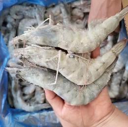【满150元全疆包邮】盐冻虾（1.5kg）