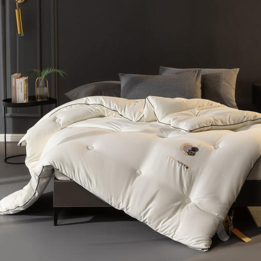 自然醒A类-抗菌航天黑金被子冬季加厚保暖棉被春秋冬被芯儿童单人太空被褥LFS 商品图3