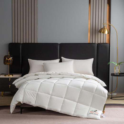 自然醒A类-康纶航天高效发热暖绒被子棉被冬被加厚保暖被芯冬季单人春秋被褥LFS 商品图2