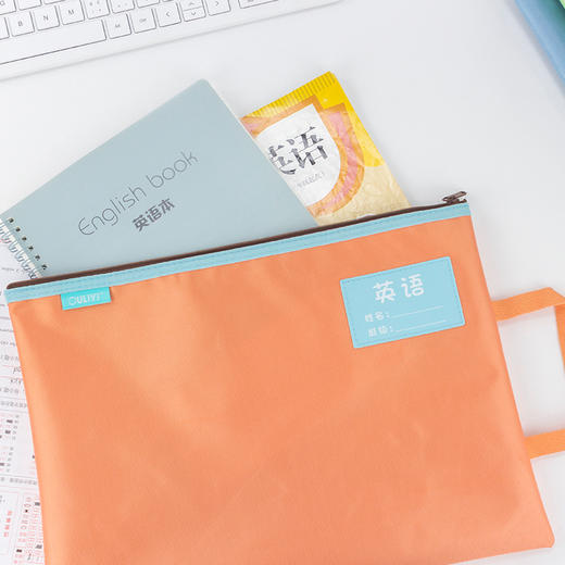 欧力益科目分类袋6151 商品图4