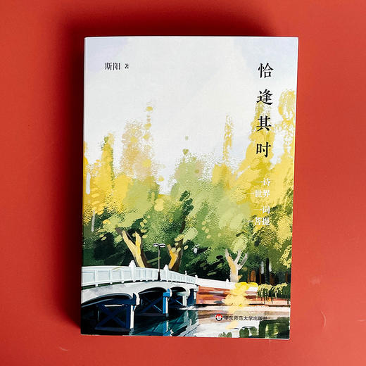 恰逢其时 洞照堂诗笺 古体近体诗作品集 斯阳著 商品图1