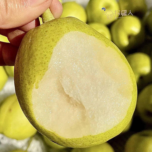 【脆嫩多汁】探疆人·新疆库尔勒香梨 商品图0