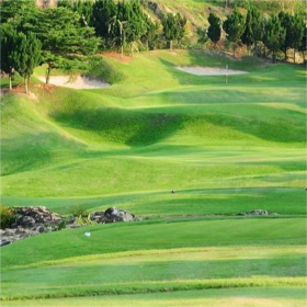圣安德斯2000高尔夫俱乐部 St.Andrew2000 Golf Course | 芭提雅 高尔夫俱乐部｜泰国