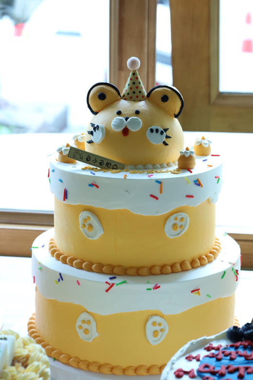 可爱萌萌虎头 商品图3