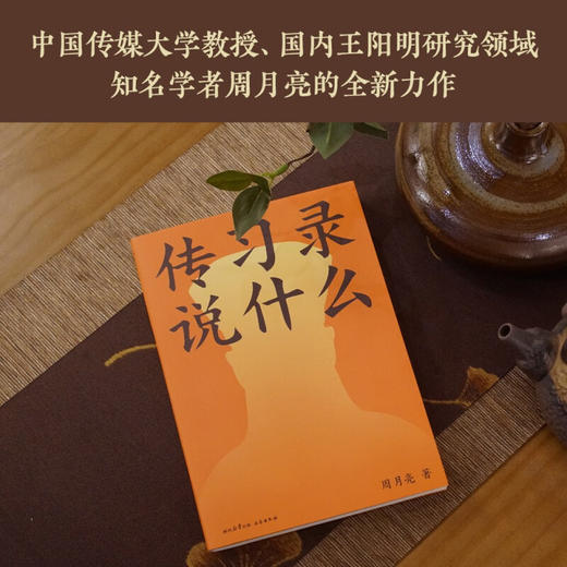 传习录说什么 周月亮 著 哲学 商品图1