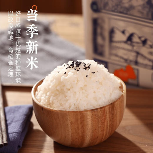 隆平芯米袁隆平大米 耐盐碱大米助农款5kg 圆粒香珍珠米 东北大米十斤 商品图3