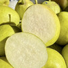 【脆嫩多汁】探疆人·新疆库尔勒香梨 商品缩略图1