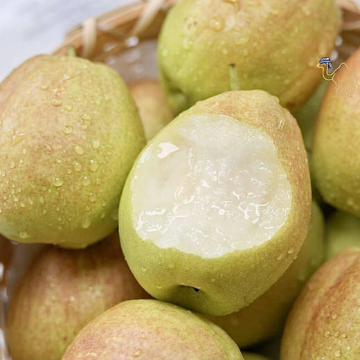 【脆嫩多汁】探疆人·新疆库尔勒香梨 商品图4